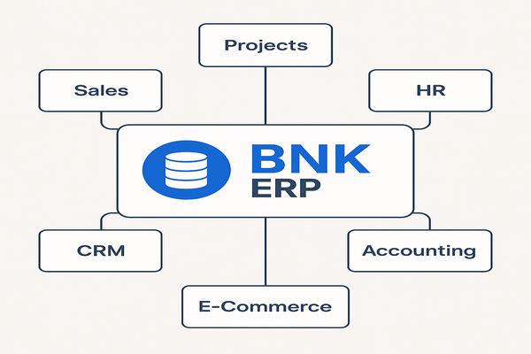 BNK ERP